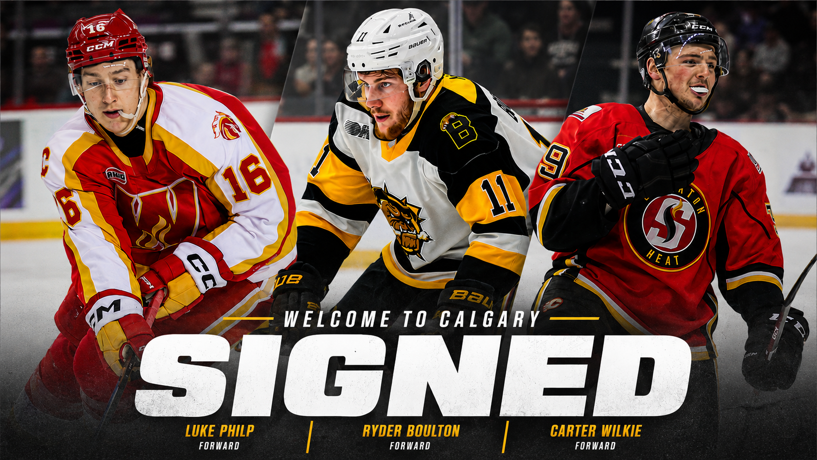 Wranglers Sign Luke Philp, Ryder Boulton, And Carter Wilkie To AHL Contracts
